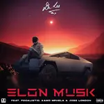 Da Les Elon Musk