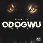 Burna Boy – Odogwu (Cover) ft. Slowdog & Zoro Odogwu BurnaBoyFt SlowDog Zoro