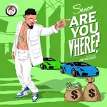 Skiibii Are You Vhere