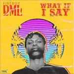 Fireboy DML – What If I Say What If I Say art