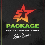 King Promise Slow Down Remix Ft Maleek Berry Mp3 Download 640x620 1