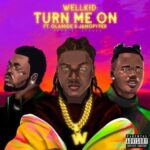 Wellkid Turn Me On ft. Olamide Jamopyper