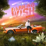 Davolee – Earning Wish EP (Album) album davolee – earning wish