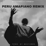 Fireboy DML x Nektunez – Peru (Amapiano Remix) fireboy dml x nektunez – peru amapiano remix