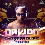 Davido omo Baba Olowo Album Artwork2