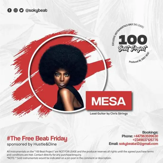 SokyBeat Mesa Art 519x519 1