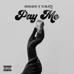 Panaache ft. T.I Blaze – Pay Me panaache ft t i blaze pay me sureloaded.com