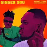 Ajebutter22 – Ginger You ft. Mayorkun Ginger You artwork