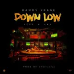 Dammy Krane – Down Low ft. Ycee & L.A.X IMG 2492