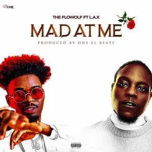 The Flowolf feat L A X Mad At Me Remix mp3 image