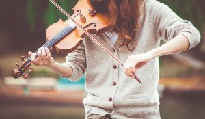learn more about the violin
