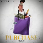 Mega C – Purchase (Budget) Purchase Budget by Mega C