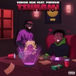 Tsunami by Venom NSM Ft. Phenom