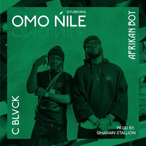 Afrikan Boy Stubborn ft C Blvck