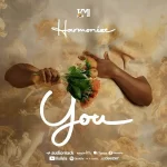 Harmonize You.jpg