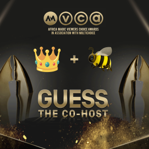 AMVCA2022