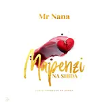 Mr Nana – Mapenzi Na Shida Mr Nana – Mapenzi Na Shida ARTWORK