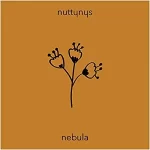Nutty Nys – Nebula mp3 download zamusic Hip Hop More