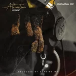 Quamina MP – Attraction Pinini.jp