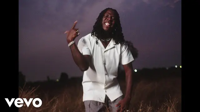Stonebwoy Therapy Video.jpg