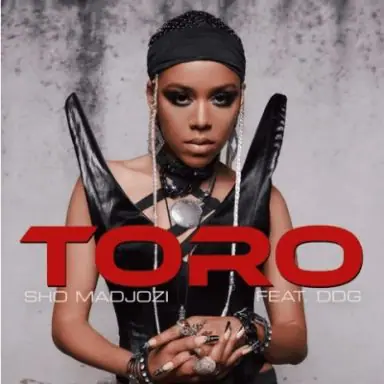 Sho Madjozi – Toro ft. DDG 384x384 1