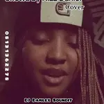 Dj Damlex Soundit – Showa Mara Dance Beat (Annie)