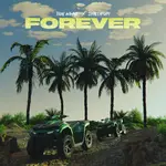 Tion Wayne – Forever ft. Shallipopi Tion Wayne – Forever ft. Shallipopi