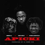 Medikal – APICKI Ft. Kofi Mole & KWESI AMEWUGA Medikal – APICKI Ft. Kofi Mole & KWESI AMEWUGA