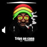 Fuzeejasmine – Trips On Cana Fuzeejasmine – Trips On Cana
