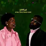 Sh3lter – Ama ft. Bisa Kdei