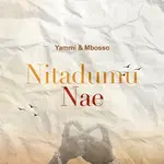 Yammi – Nitadumu Nae Ft. Mbosso
