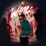 Zayo – Wami Ft. Mayorkun