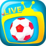 Top Apps and Platforms to Watch Live Football in Indonesia