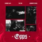 BIGBIRD KUTI – OPP (S) Ft. Vector & ODUMODUBLVCK BIGBIRD KUTI – OPP (S) Ft. Vector & ODUMODUBLVCK