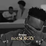 Driemo – Not Sorry