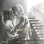 SPINALL – Want You Ft. JayO & DESTIN CONRAD