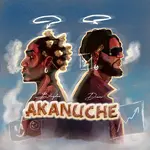 Blaqdee – Akanuche Ft. Dremo