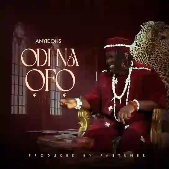 Anyidons – Odi Na Ofo